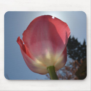 Frühlingsrosa Tulpenblumen Foto Kunst Mousepad