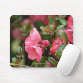 Frühlingsrote Blütenquitte Mousepad (Mit Mouse)