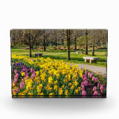 Frühlingssaison Blumengarten Fotoblock (Vorderseite)