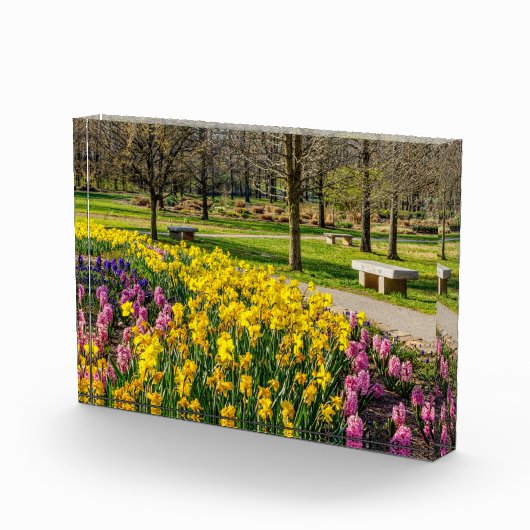 Frühlingssaison Blumengarten Fotoblock (Rechts)