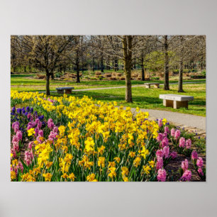 Frühlingssaison Blumengarten Poster