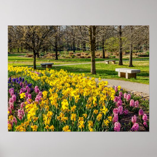 Frühlingssaison Blumengarten Poster (Vorne)