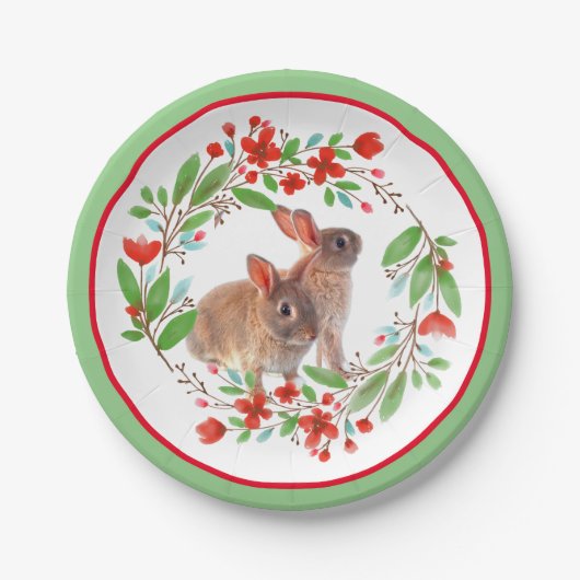 Frühlingssaison - Kaninchen / Ostertag Pappteller (Vorderseite)