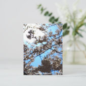 Frühlingssaison Postkarte (Stehend Vorderseite)