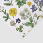 Frühlingssäule Wildblume Gelbe Lila Blumenlatte Seidenpapier (Detail)