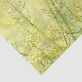 FrühlingsSenf Seidenpapier (Ausschnitt)