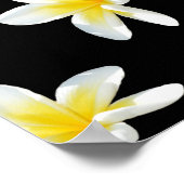 Frühlingsserenade: Gelbe Frangipanis auf Schwarz, Poster (Ecke)