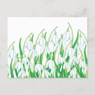 Frühlingssnowdrops Feiertagspostkarte