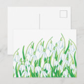 Frühlingssnowdrops Feiertagspostkarte (Vorne/Hinten)