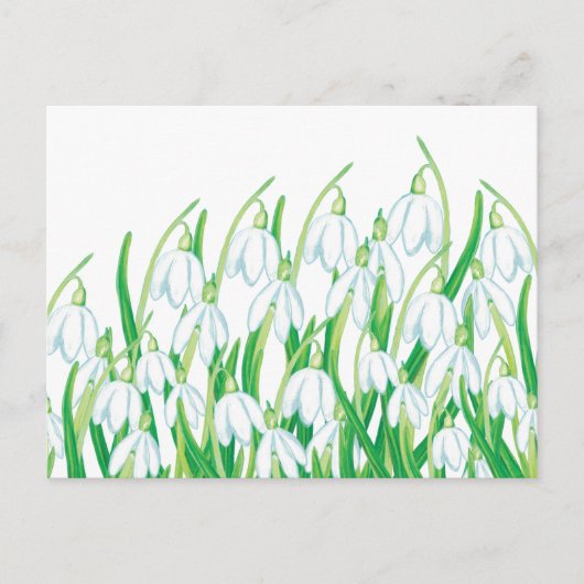 Frühlingssnowdrops Feiertagspostkarte (Vorderseite)