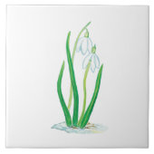 Frühlingssnowdrops Fliese (Vorderseite)