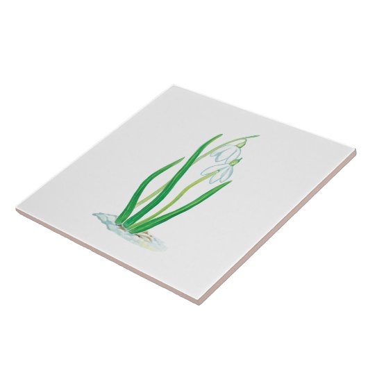 Frühlingssnowdrops Fliese (Seite)