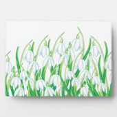 Frühlingssnowdrops Fotoplatte (Vorderseite)