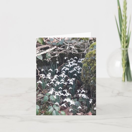 Frühlingssnowdrops Karte (Vorderseite)