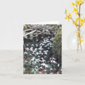 Frühlingssnowdrops Karte (Gelbe Blume)