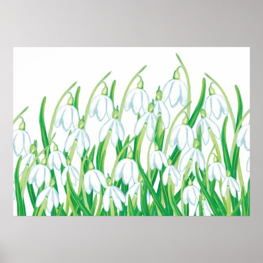 Frühlingssnowdrops Poster (Vorne)