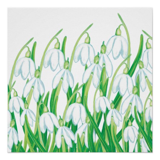 Frühlingssnowdrops Poster (Vorderseite)