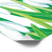 Frühlingssnowdrops Poster (Ecke)