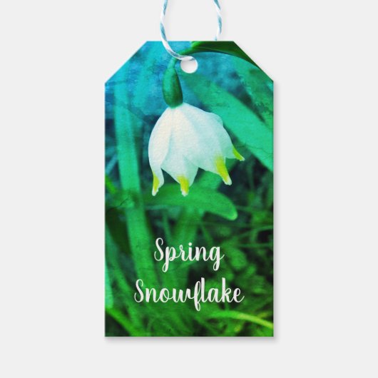 Frühlingssnowflake Leucojum Blume Geschenkanhänger (Vorderseite)