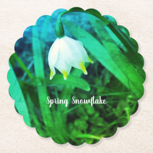 Frühlingssnowflake Leucojum Blume Untersetzer