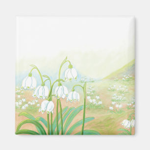 Frühlingssnowflake, Leucojum vernum Illustration Magnet