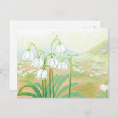 Frühlingssnowflake, Leucojum vernum Illustration Postkarte (Vorne/Hinten)