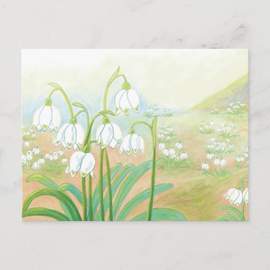 Frühlingssnowflake, Leucojum vernum Illustration Postkarte (Vorderseite)