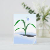 Frühlingssonne - Blume im Schnee Postkarte (Stehend Vorderseite)