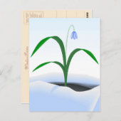 Frühlingssonne - Blume im Schnee Postkarte (Vorne/Hinten)