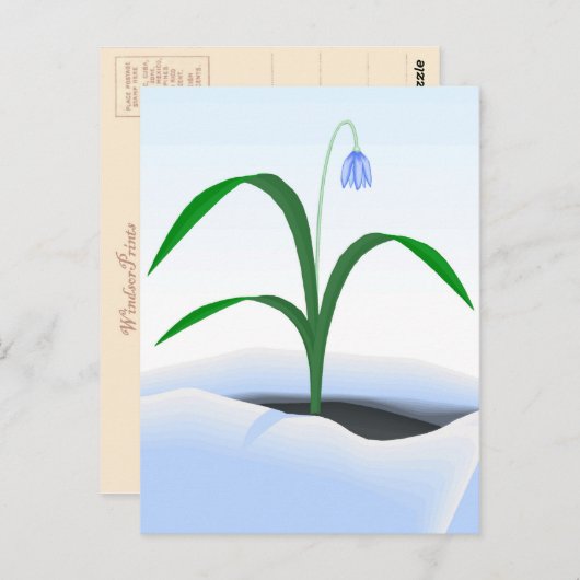 Frühlingssonne - Blume im Schnee Postkarte (Vorne/Hinten)