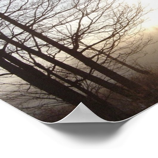 Frühlingssonne Poster (Ecke)