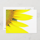 Frühlingssonnenblumen Postkarte (Vorne/Hinten)