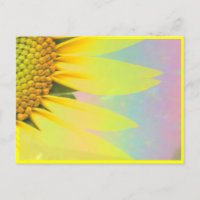 Frühlingssonnenblumen