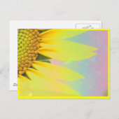 Frühlingssonnenblumen Postkarte (Vorne/Hinten)