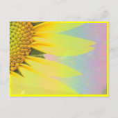 Frühlingssonnenblumen Postkarte (Vorderseite)