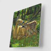 Frühlingssorge Fawn and Mother Deer Quadratische Wanduhr (Winkel)