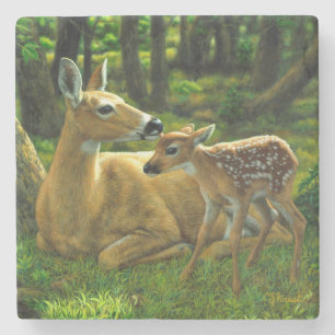 Frühlingssorge Fawn and Mother Deer Steinuntersetzer