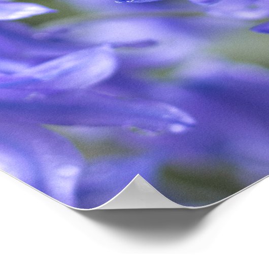 Frühlingssorgen nach dem Regen Poster (Ecke)