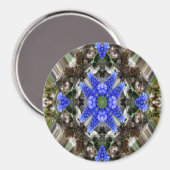 Frühlingsstar.. Magnet (Vorderseite/Rückseite)