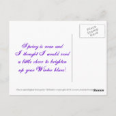 Frühlingsstift und Schmetterlingspostkarte Postkarte (Rückseite)