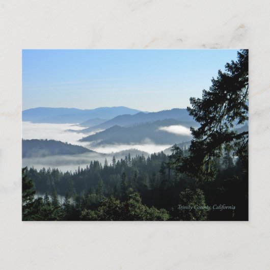 Frühlingsstimmung am Morgen.. Postkarte (Vorderseite)