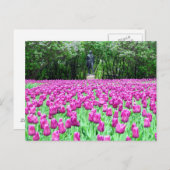 Frühlingsstipps im Englischen Garten - Postkarte (Vorne/Hinten)