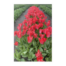 Frühlingsstipps in der PNW-Akrylenkunst