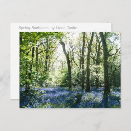 Frühlingsstuben Postkarte (Vorne/Hinten)