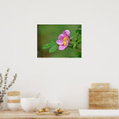 Frühlingssturm Beauty Wilde Rose im Regenplakat Poster (Küche)