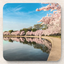 Frühlingsszenario-Untersetzer