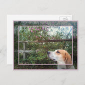 Frühlingsszent Postkarte (Vorne/Hinten)