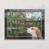 Frühlingsszent Postkarte (Vorderseite)