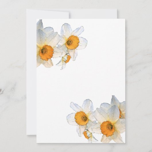 Frühlingstag daffodil Geburtstag Einladung (Rückseite)