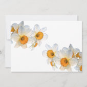 Frühlingstag daffodil Geburtstag Einladung (Rückseite)